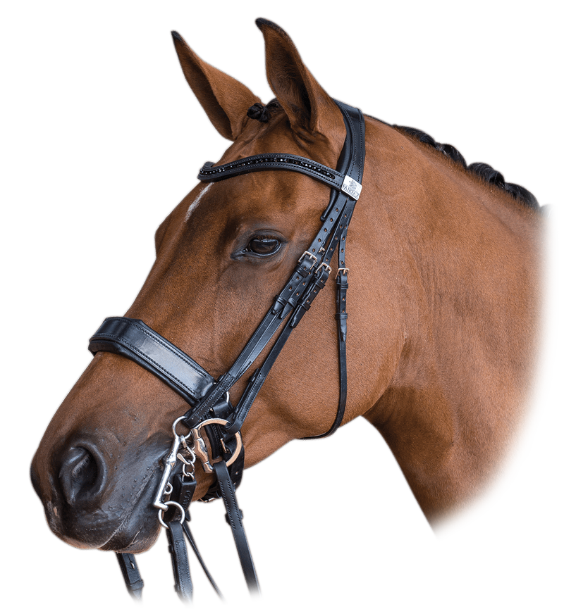 Saddle Cloth – Bonnie Bridles