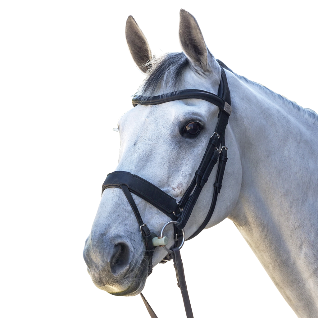 Complete Fairfax Snaffle Bridle with Flash Noseband – Fairfax Saddles Ltd