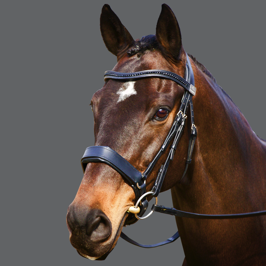 Saddle Cloth – Bonnie Bridles